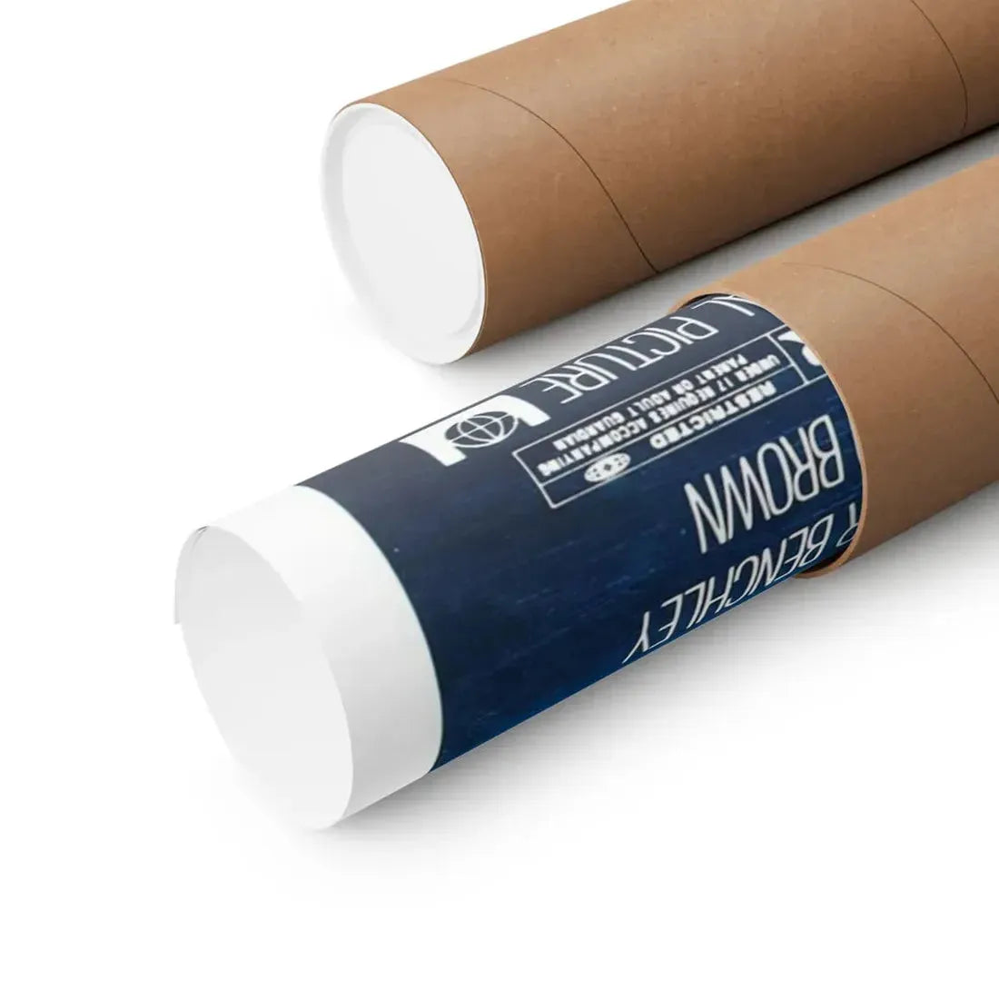 THE ISLAND 1980 - Paper Movie Poster - The Sticker Space