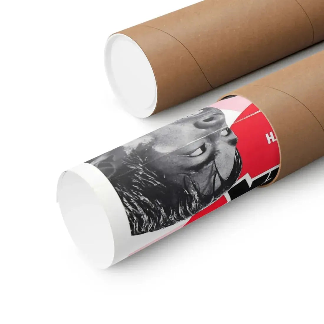 THE KARATE KILLER 1973 - Paper Movie Poster - The Sticker Space