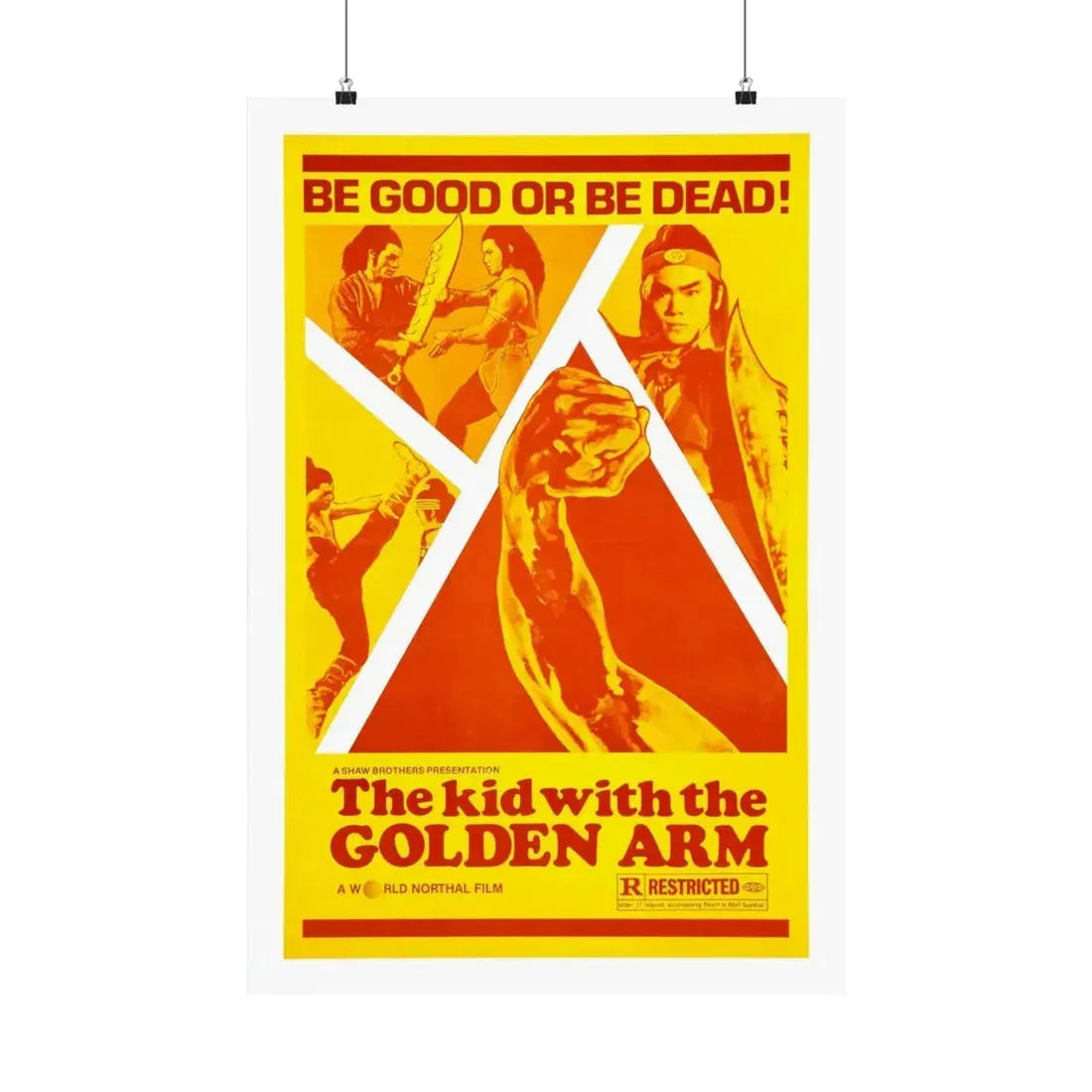 THE KID WITH THE GOLDEN ARM 1979 - Paper Movie Poster 20″ x 30″ Matte - The Sticker Space