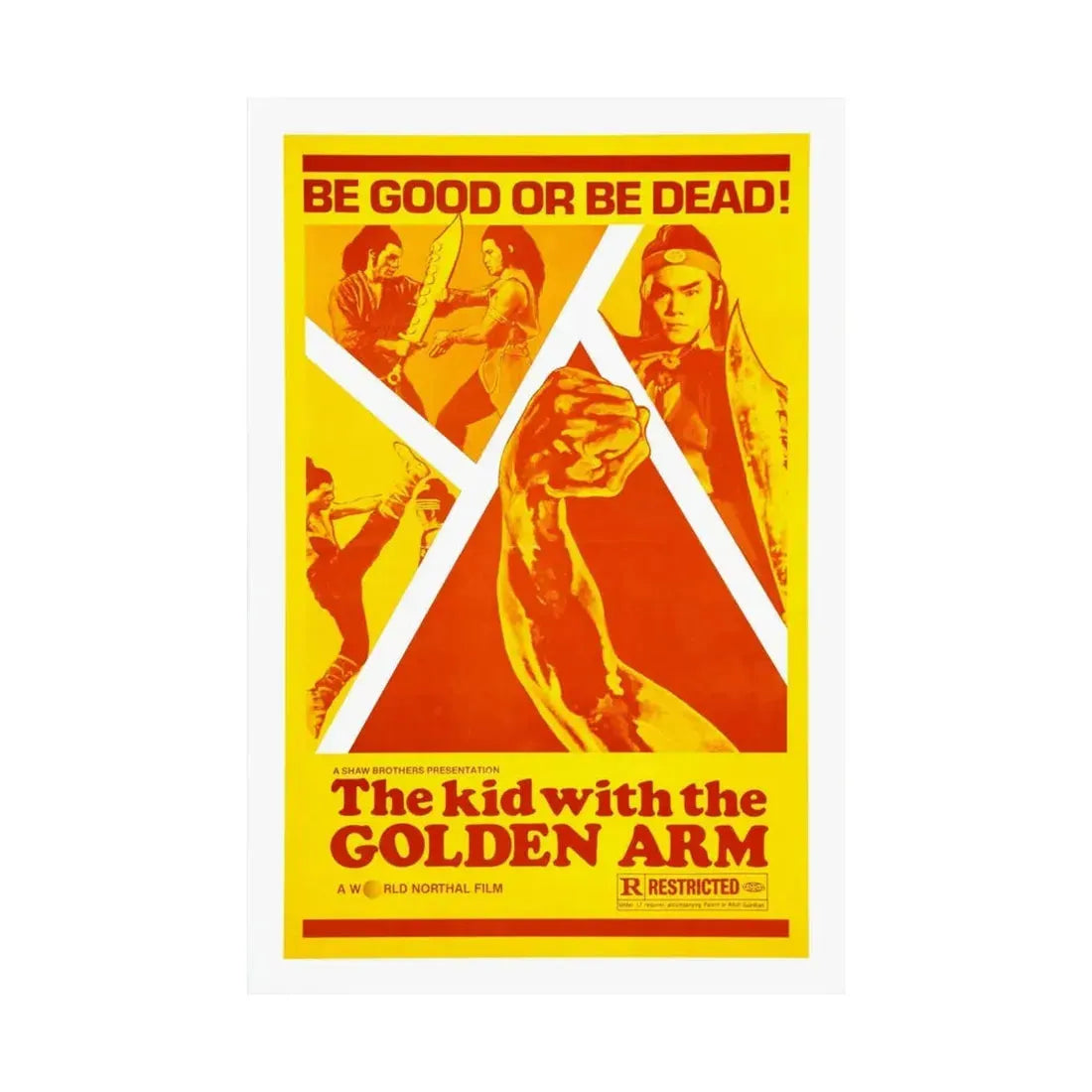 THE KID WITH THE GOLDEN ARM 1979 - Paper Movie Poster - The Sticker Space
