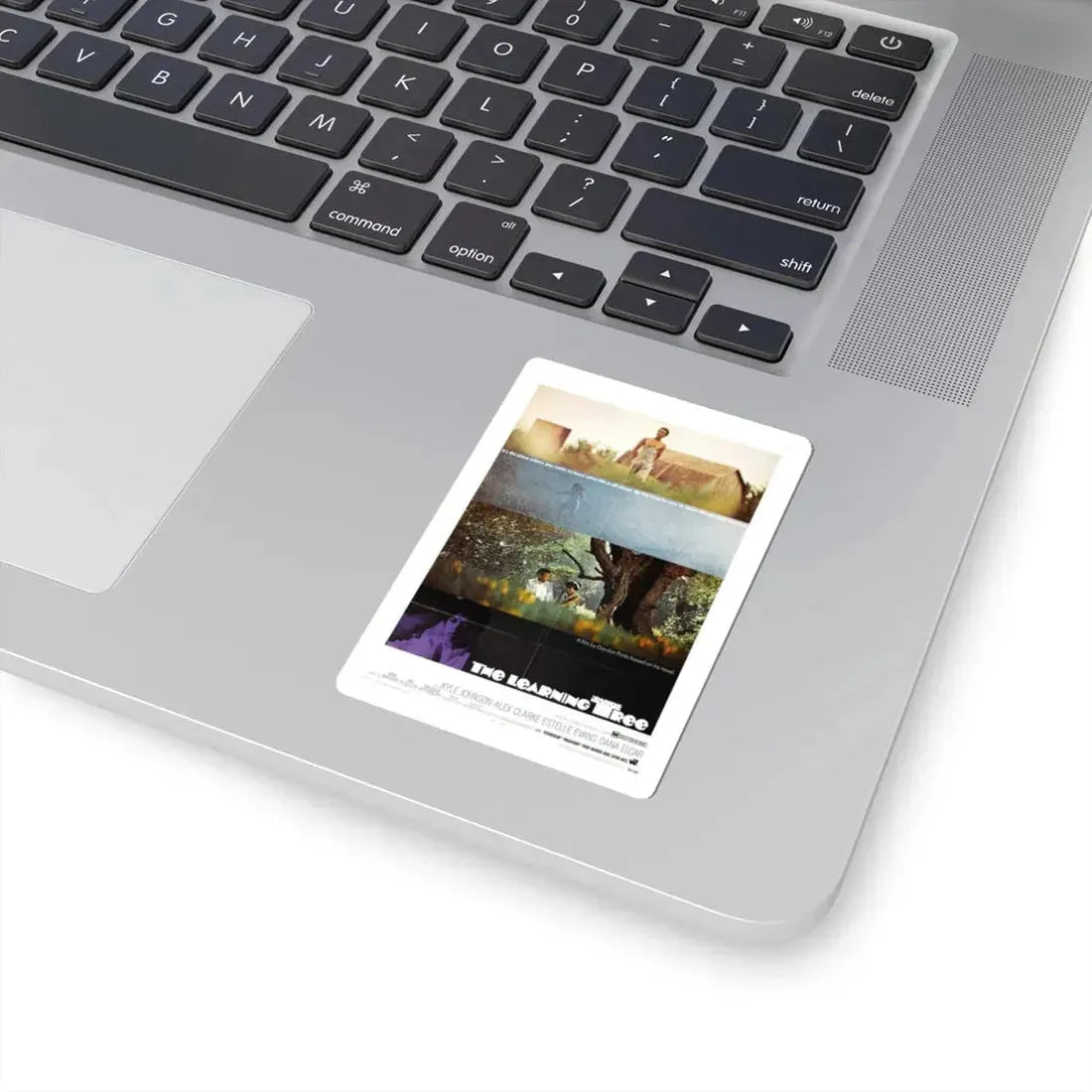 The Learning Tree 1969 Movie Poster - STICKER Vinyl Kiss-Cut Decal - The Sticker Space