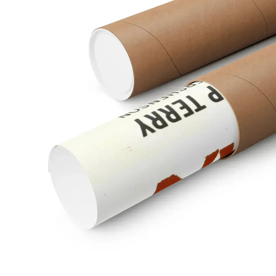 THE LEECH WOMAN 1960 - Paper Movie Poster - The Sticker Space