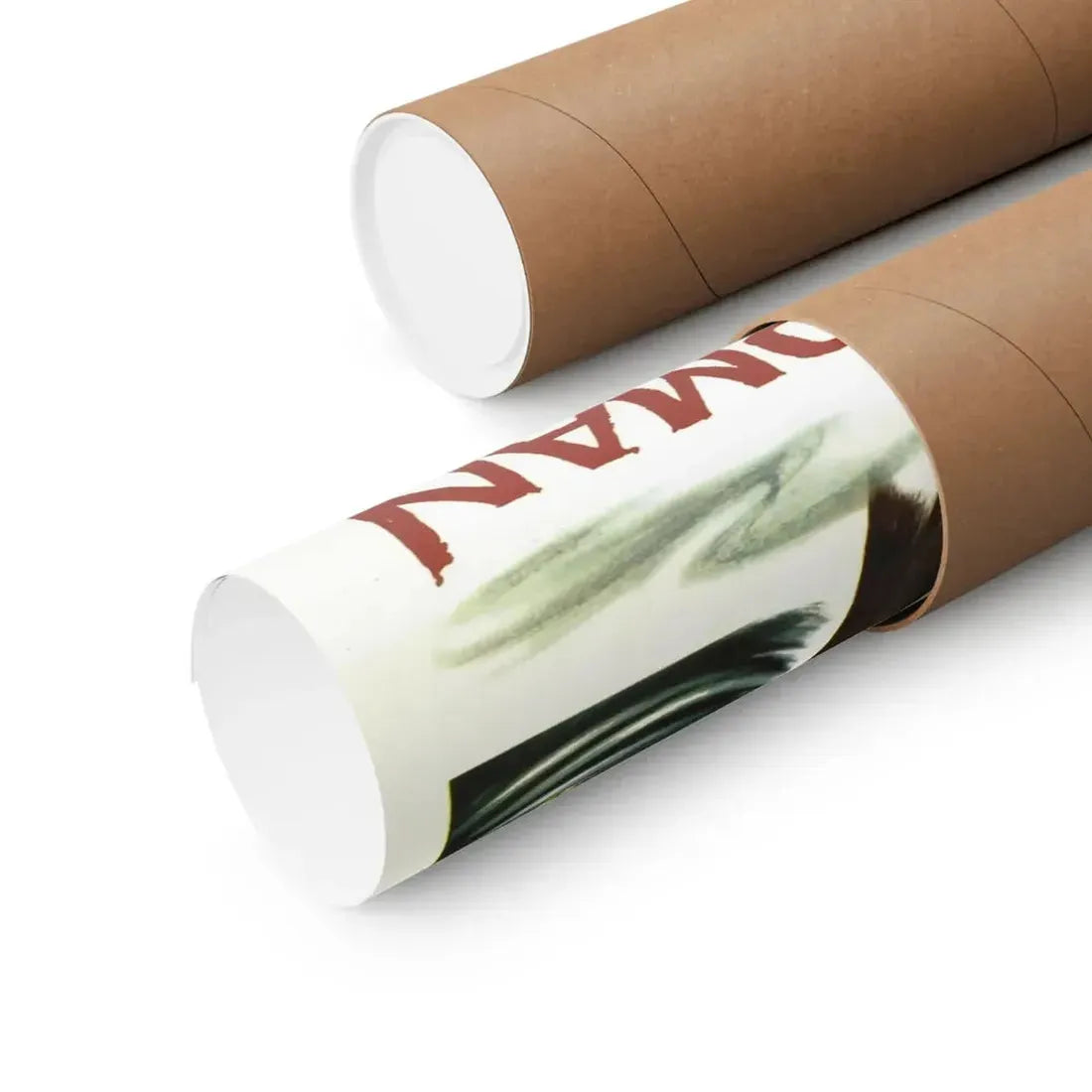 THE LEECH WOMAN 1960 - Paper Movie Poster - The Sticker Space