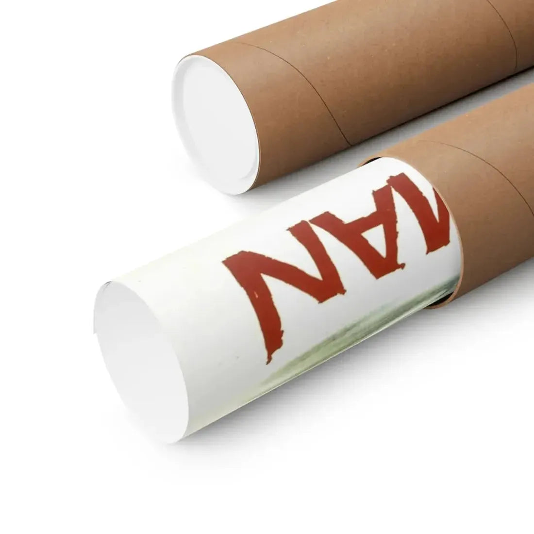 THE LEECH WOMAN 1960 - Paper Movie Poster - The Sticker Space