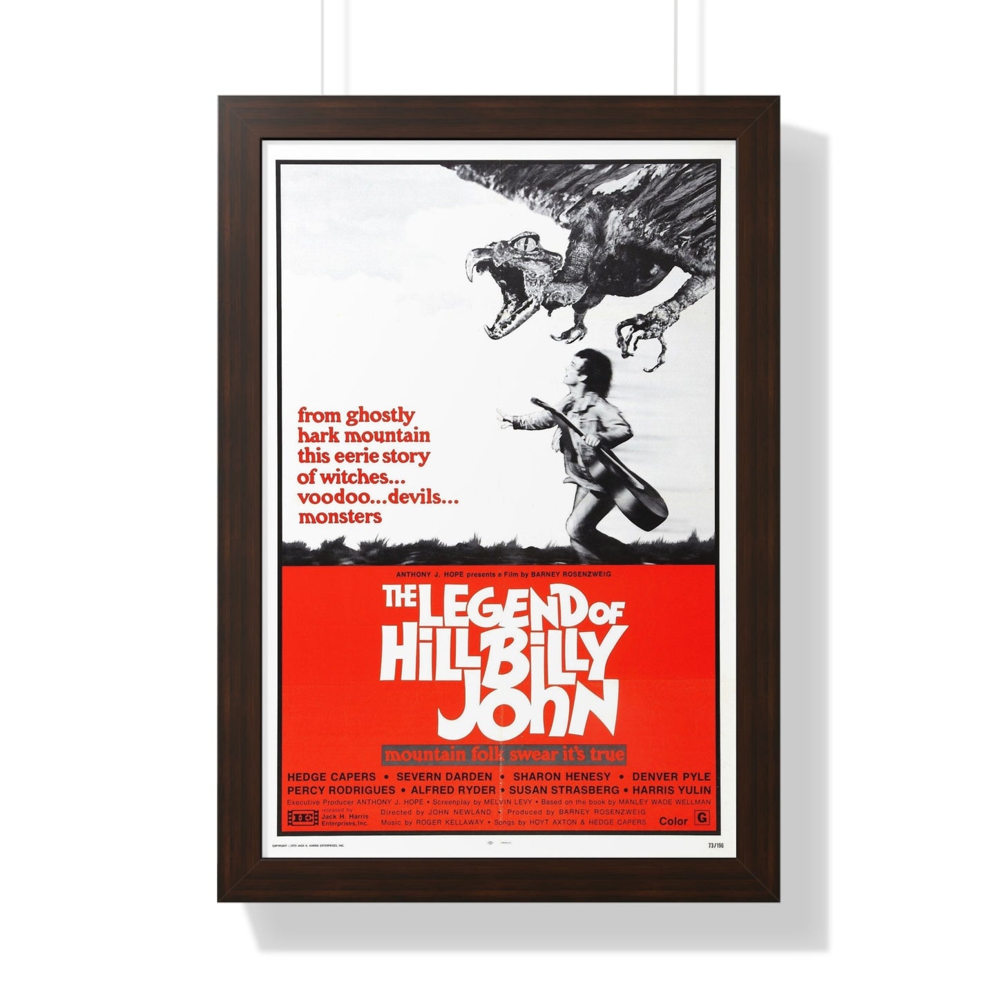 THE LEGEND OF HILLBILLY JOHN 1972 - Framed Movie Poster-16″ x 24″-The Sticker Space