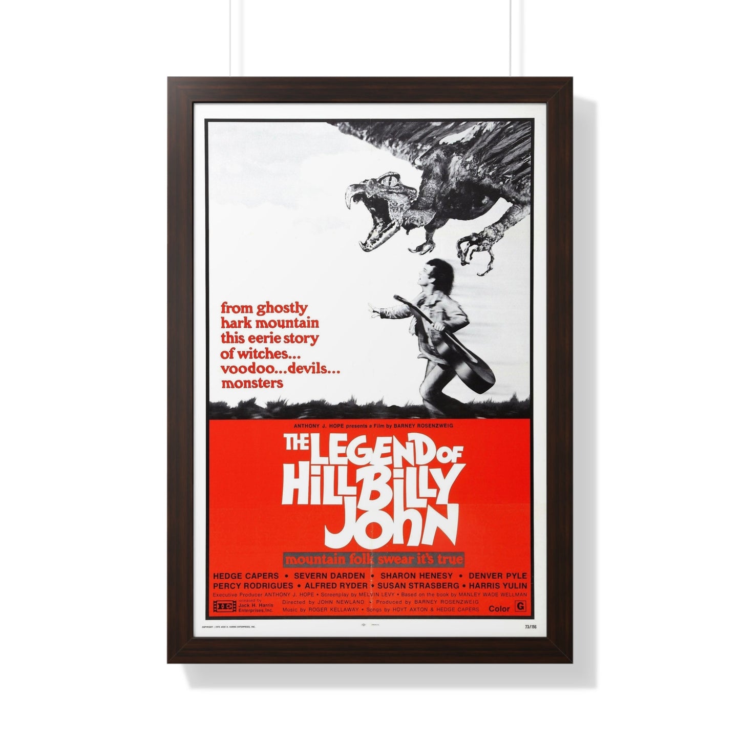 THE LEGEND OF HILLBILLY JOHN 1972 - Framed Movie Poster-20" x 30"-The Sticker Space