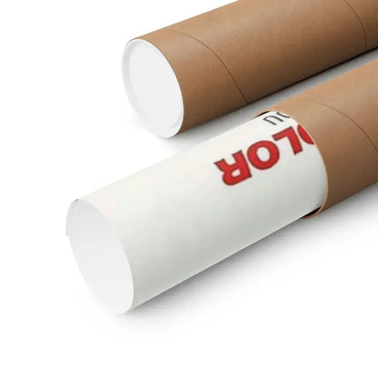 THE LOSERS 1970 - Paper Movie Poster - The Sticker Space