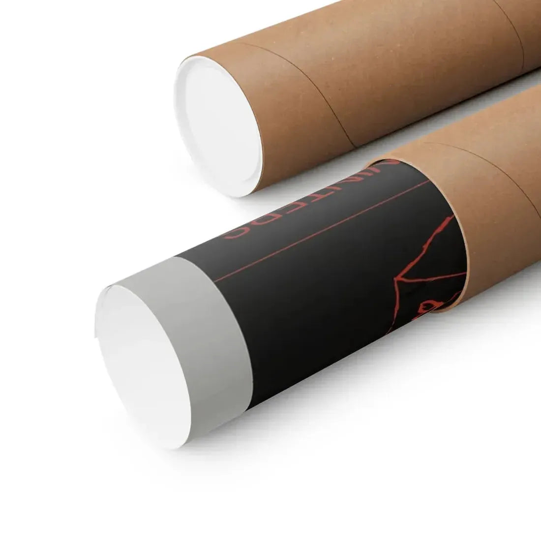 THE MAD ROOM 1969 - Paper Movie Poster - The Sticker Space