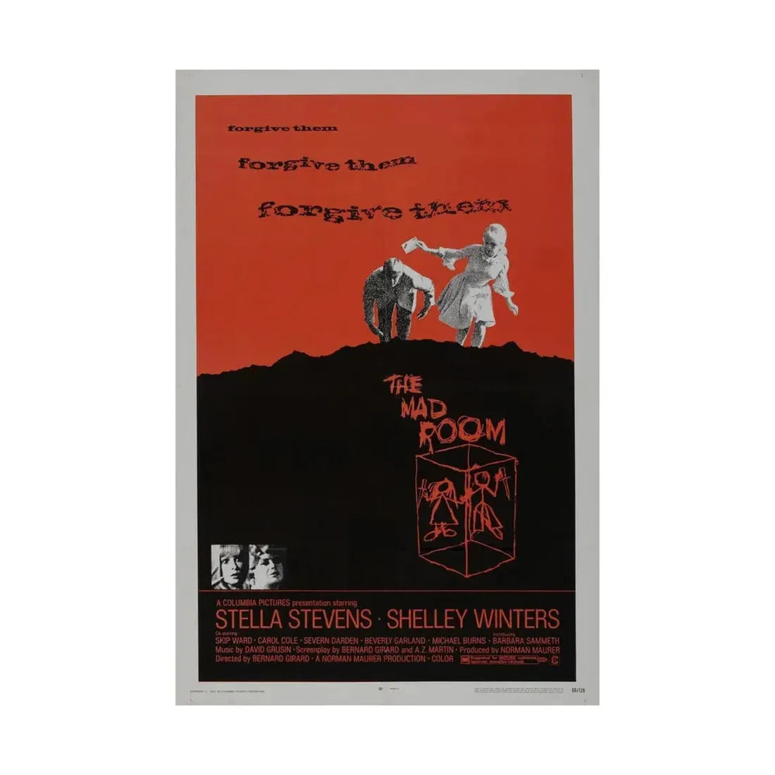 THE MAD ROOM 1969 - Paper Movie Poster - The Sticker Space