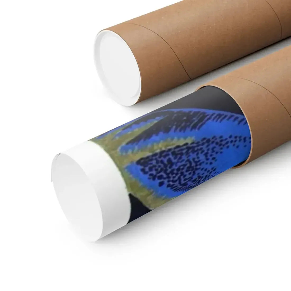 THE MAN FROM PLANET X (2) 1951 - Paper Movie Poster - The Sticker Space