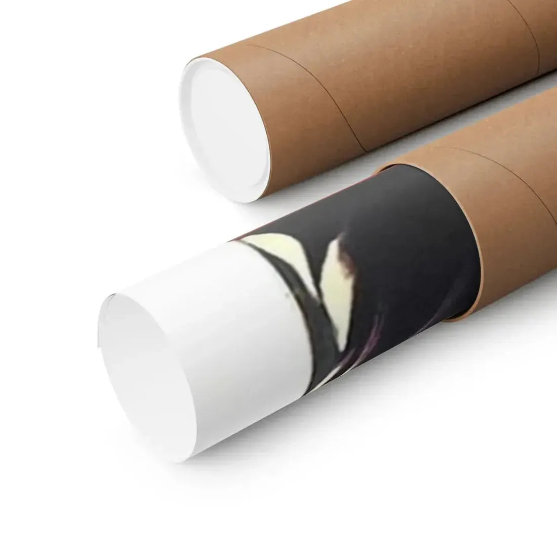 THE MAN WHO COULD CHEAT DEATH (BELGIAN) 1959 - Paper Movie Poster - The Sticker Space