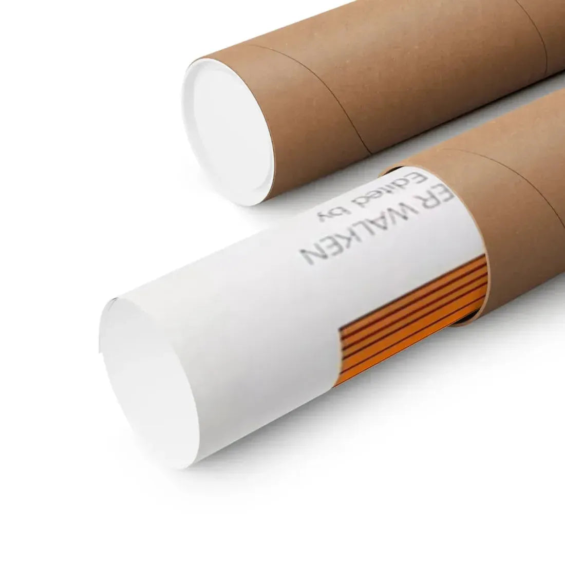 THE MIND SNATCHERS 1972 - Paper Movie Poster - The Sticker Space