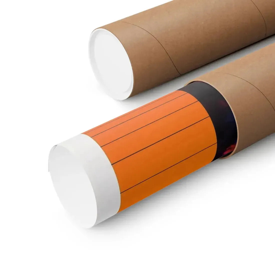 THE MIND SNATCHERS 1972 - Paper Movie Poster - The Sticker Space