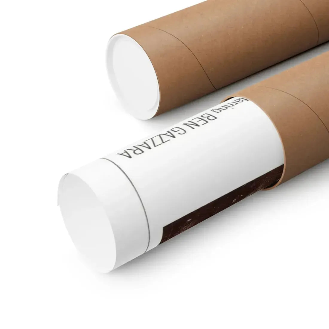 THE NEPTUNE FACTOR 1973 - Paper Movie Poster - The Sticker Space