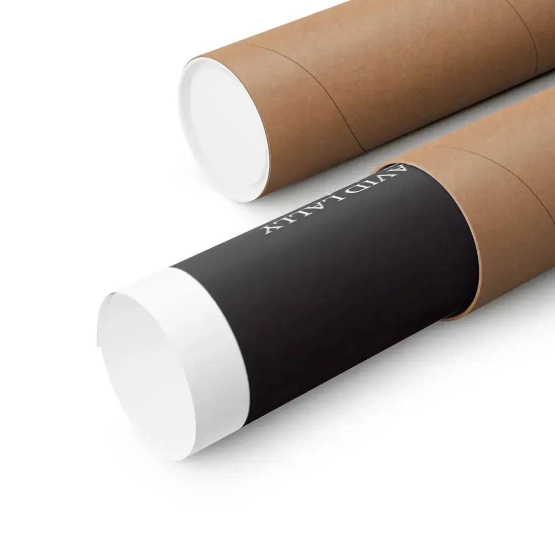 THE NESTING 1981 - Paper Movie Poster - The Sticker Space