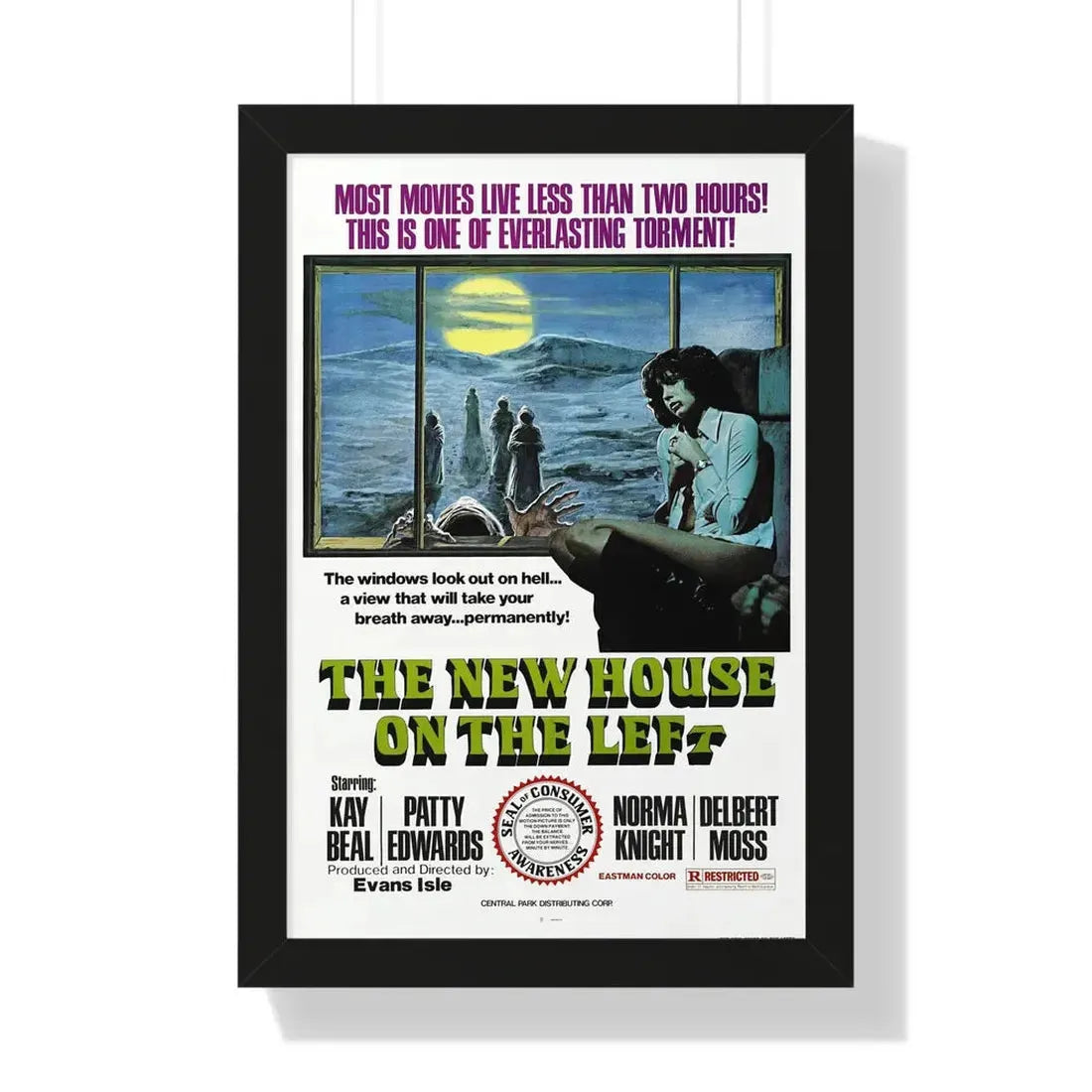 THE NEW HOUSE ON THE LEFT (NIGHT TRAIN MURDERS) 1975 - Framed Movie Poster 16″ x 24″ Black - The Sticker Space