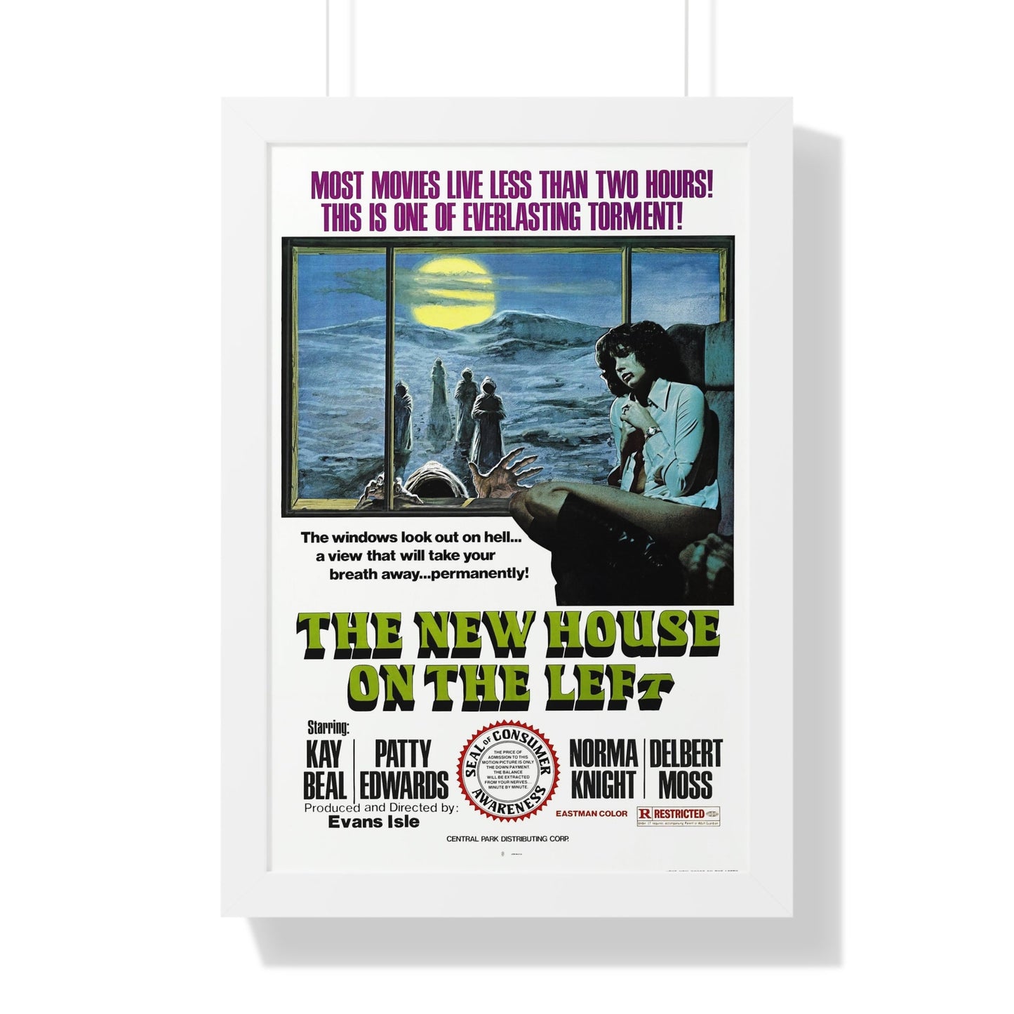 THE NEW HOUSE ON THE LEFT (NIGHT TRAIN MURDERS) 1975 - Framed Movie Poster-16″ x 24″-The Sticker Space