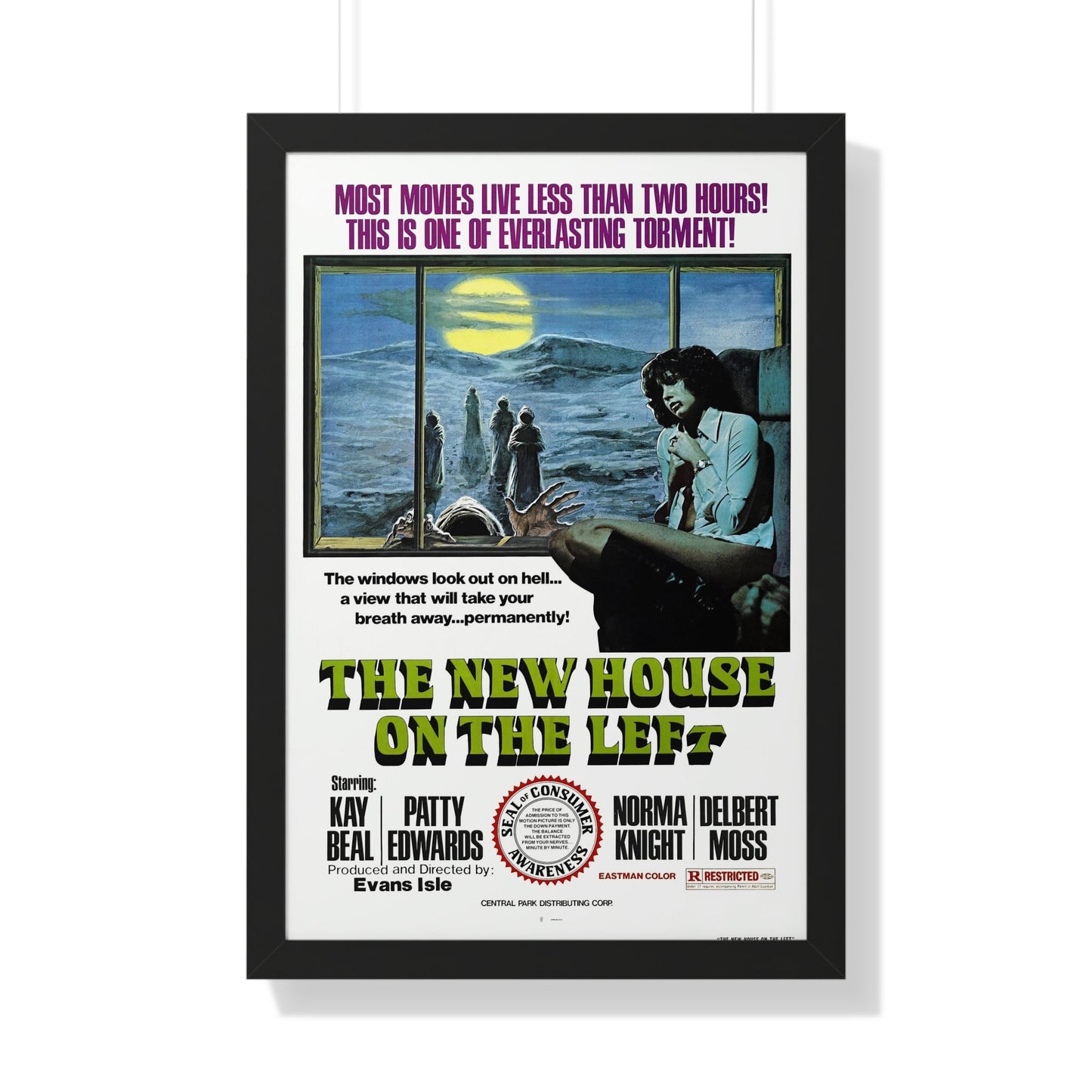 THE NEW HOUSE ON THE LEFT (NIGHT TRAIN MURDERS) 1975 - Framed Movie Poster-20" x 30"-The Sticker Space