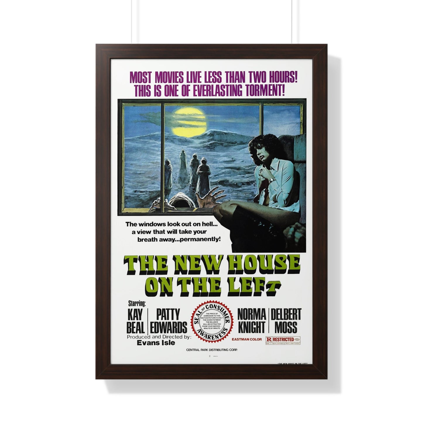 THE NEW HOUSE ON THE LEFT (NIGHT TRAIN MURDERS) 1975 - Framed Movie Poster-20" x 30"-The Sticker Space