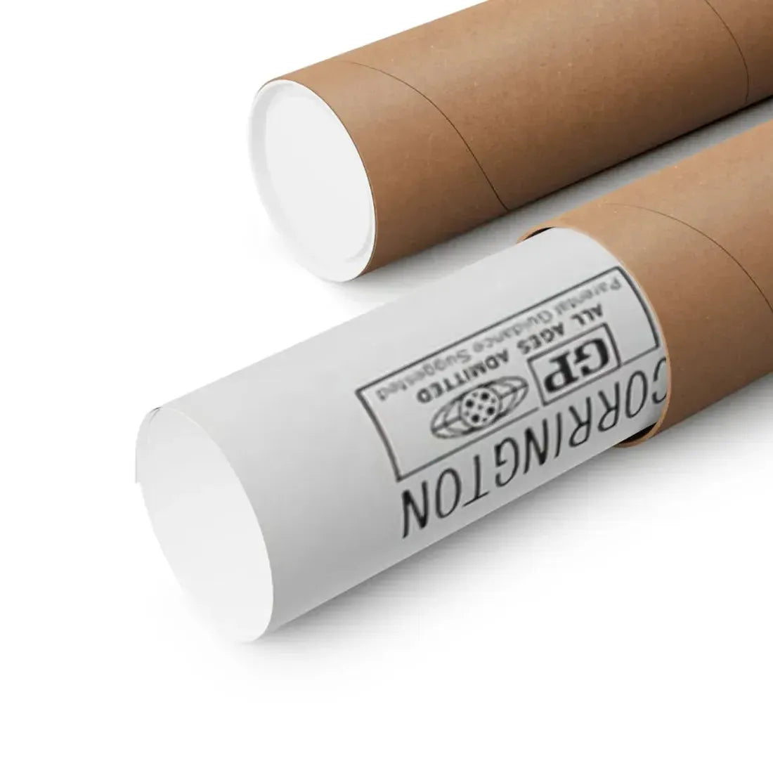 THE OMEGA MAN 1971 - Paper Movie Poster - The Sticker Space