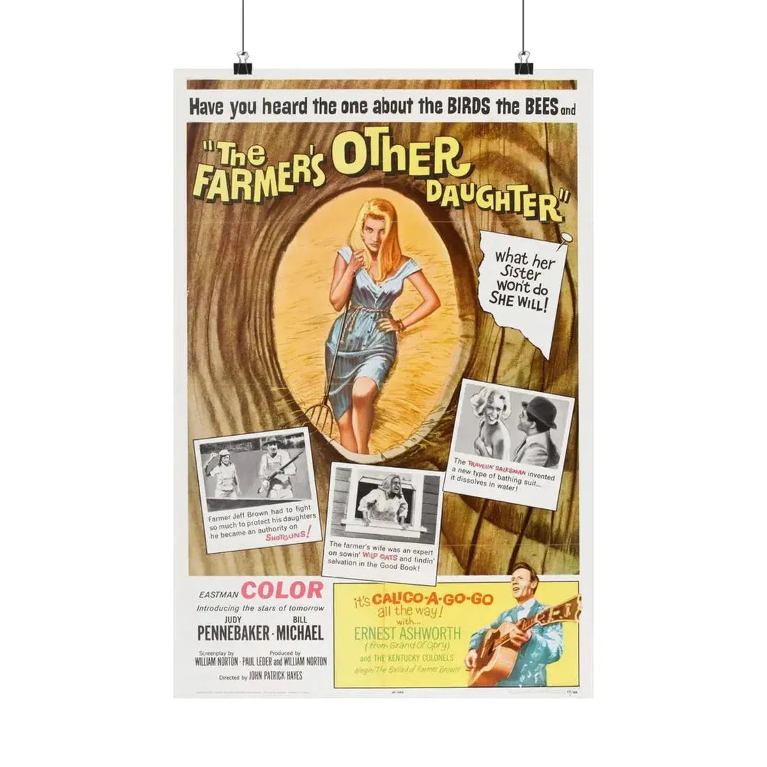 THE OTHER FARMER'S DAUGHTER 1965 - Paper Movie Poster 16″ x 24″ Matte - The Sticker Space