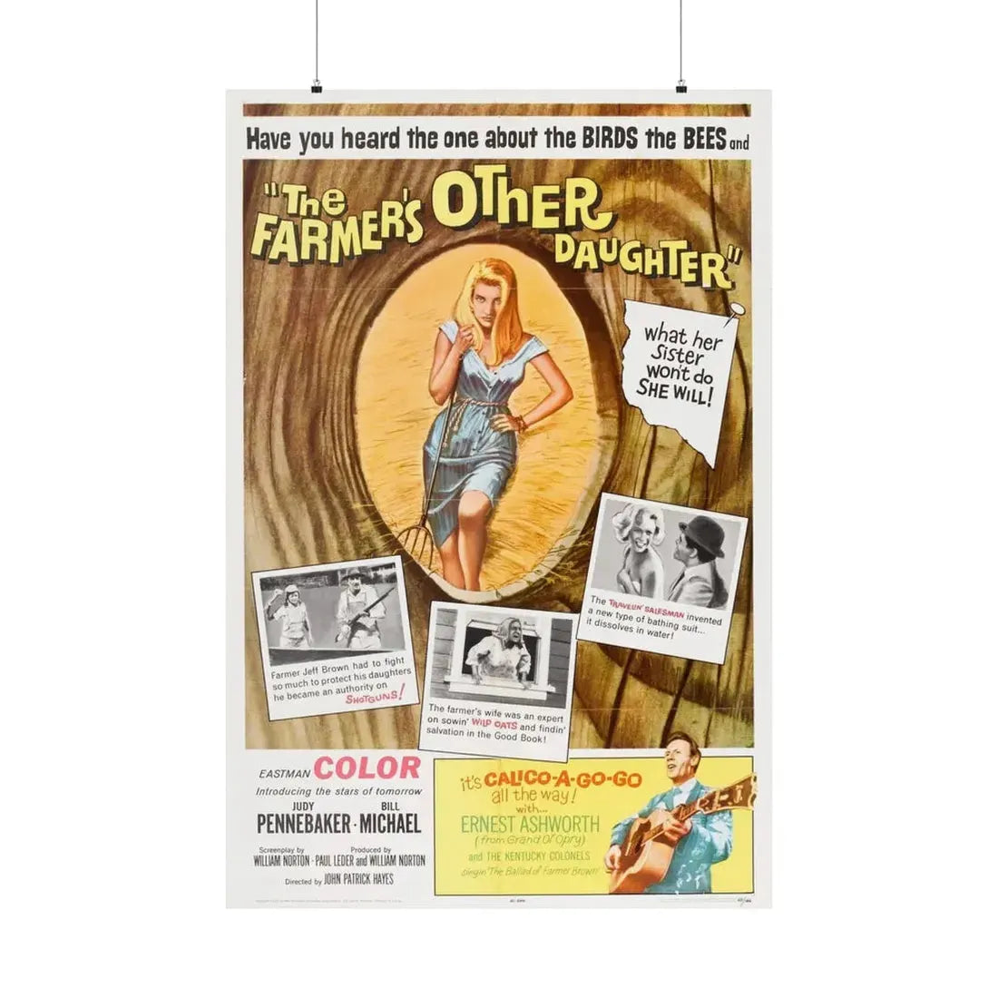 THE OTHER FARMER'S DAUGHTER 1965 - Paper Movie Poster 36" x 54" Matte - The Sticker Space