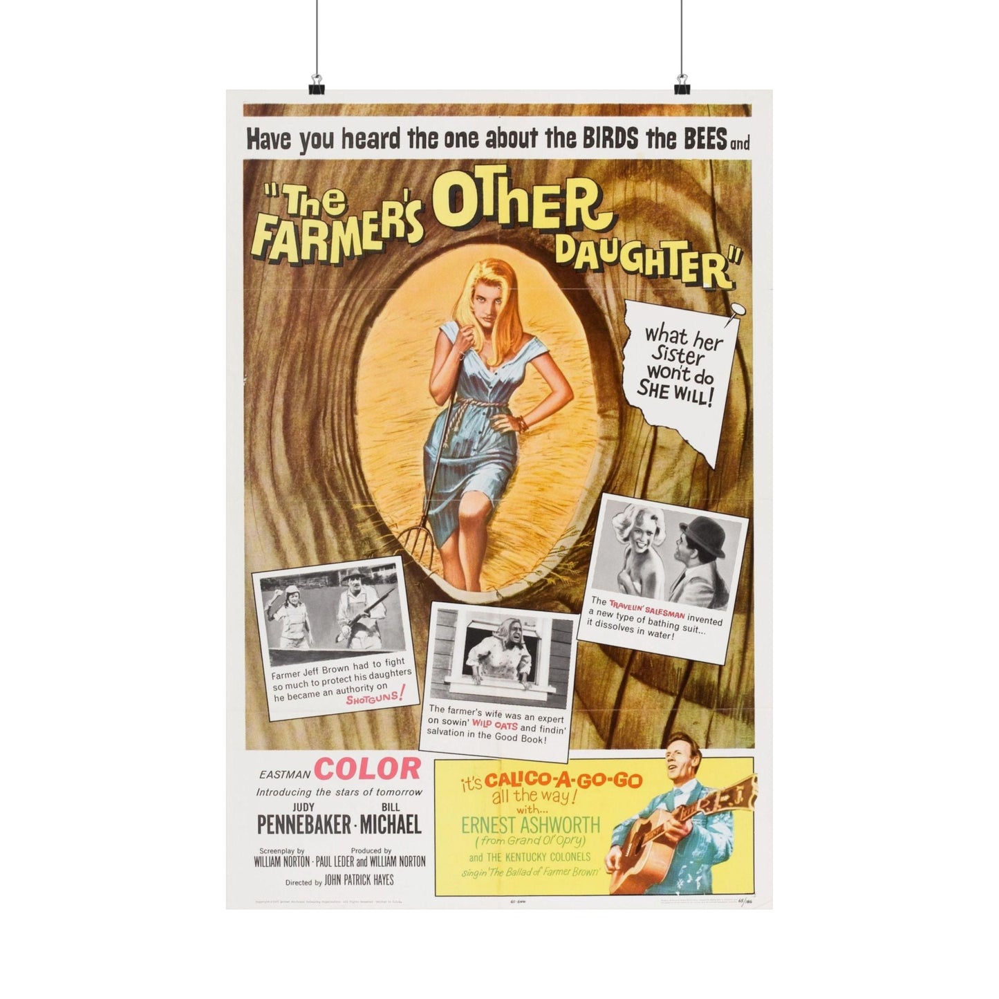 THE OTHER FARMER'S DAUGHTER 1965 - Paper Movie Poster-24″ x 36″-The Sticker Space