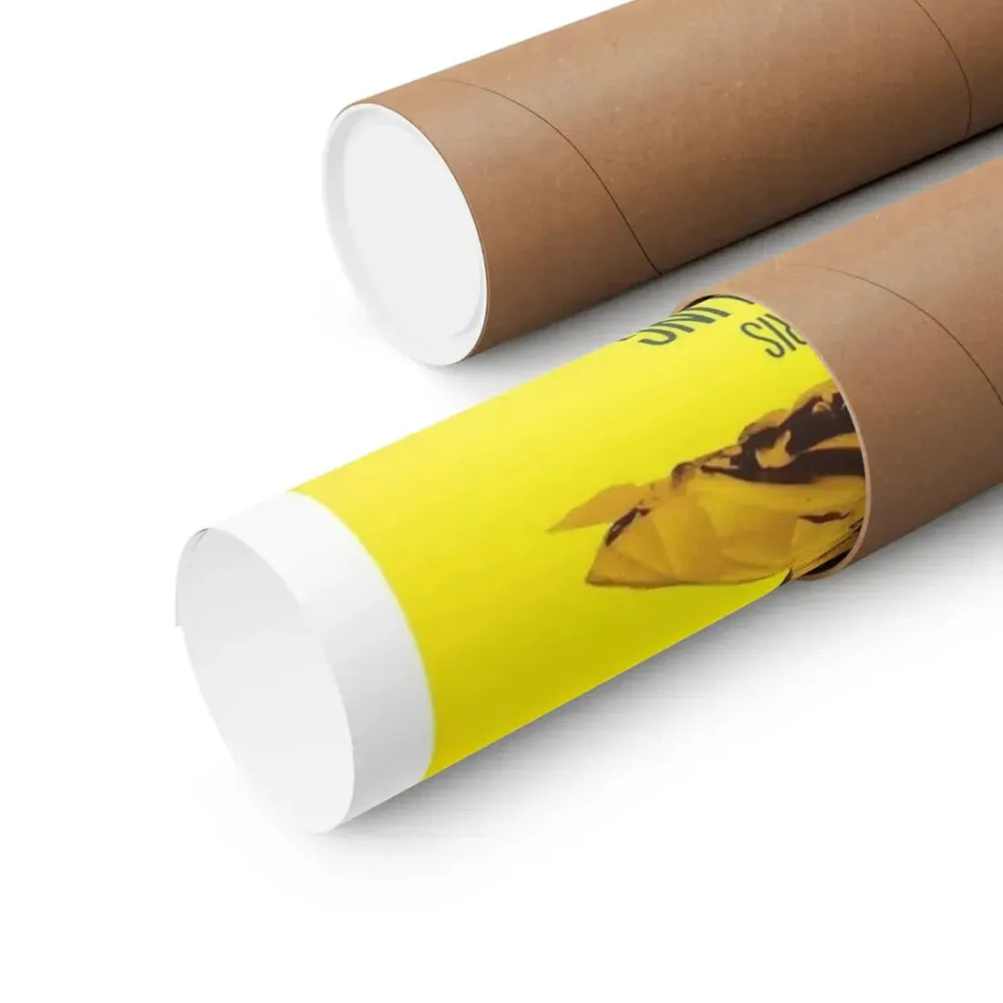 THE PARTY CRASHERS 1958 - Paper Movie Poster - The Sticker Space