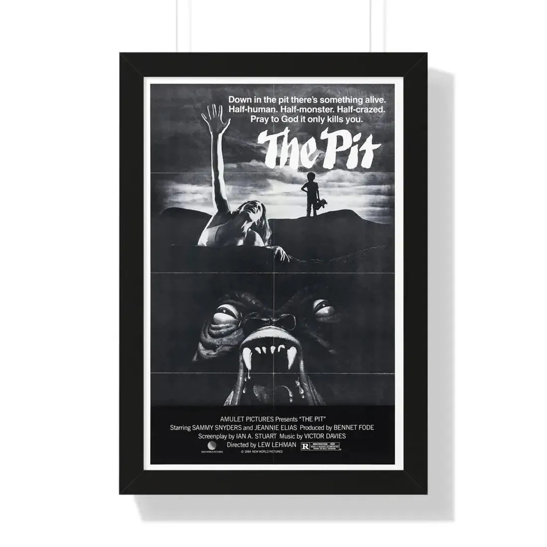 THE PIT (2) 1981 - Framed Movie Poster 16″ x 24″ Black - The Sticker Space