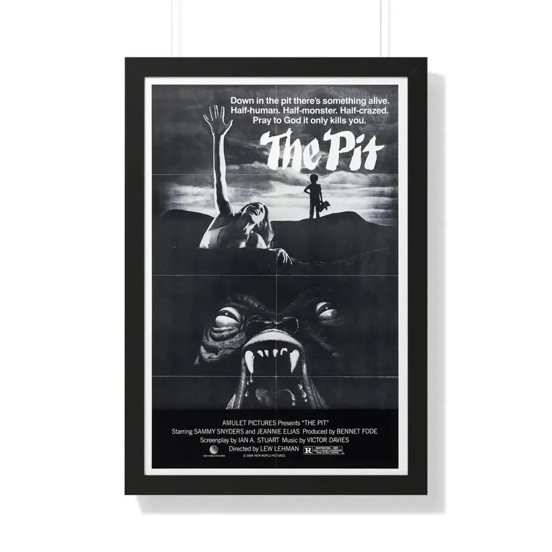 THE PIT (2) 1981 - Framed Movie Poster 20" x 30" Black - The Sticker Space