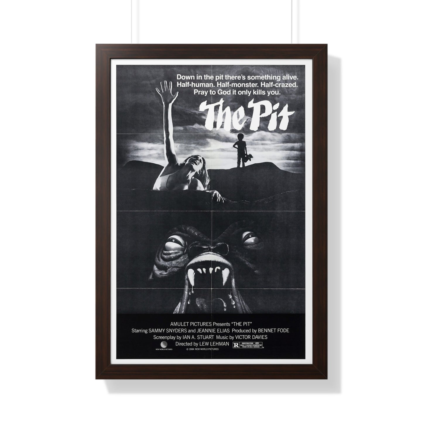 THE PIT (2) 1981 - Framed Movie Poster-20" x 30"-The Sticker Space