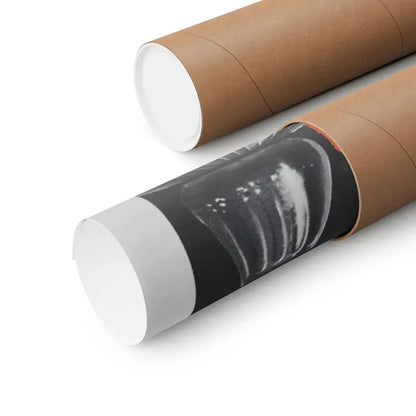 THE PREMATURE BURIAL 1962 - Paper Movie Poster - The Sticker Space