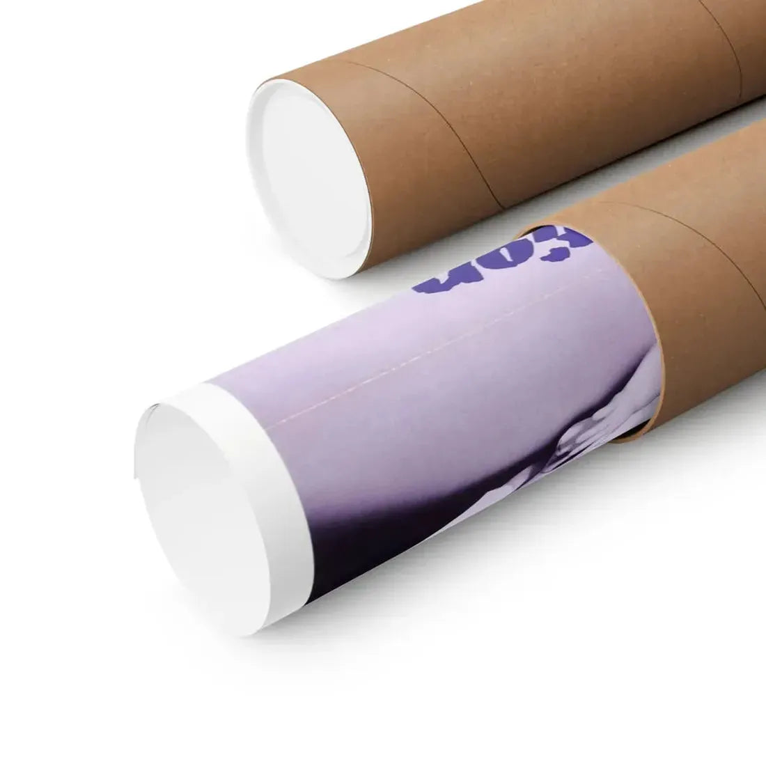 THE PREMONITION 1976 - Paper Movie Poster - The Sticker Space