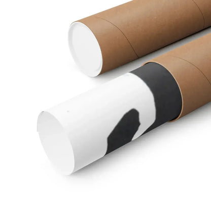 THE RAVAGERS 1979 - Paper Movie Poster - The Sticker Space