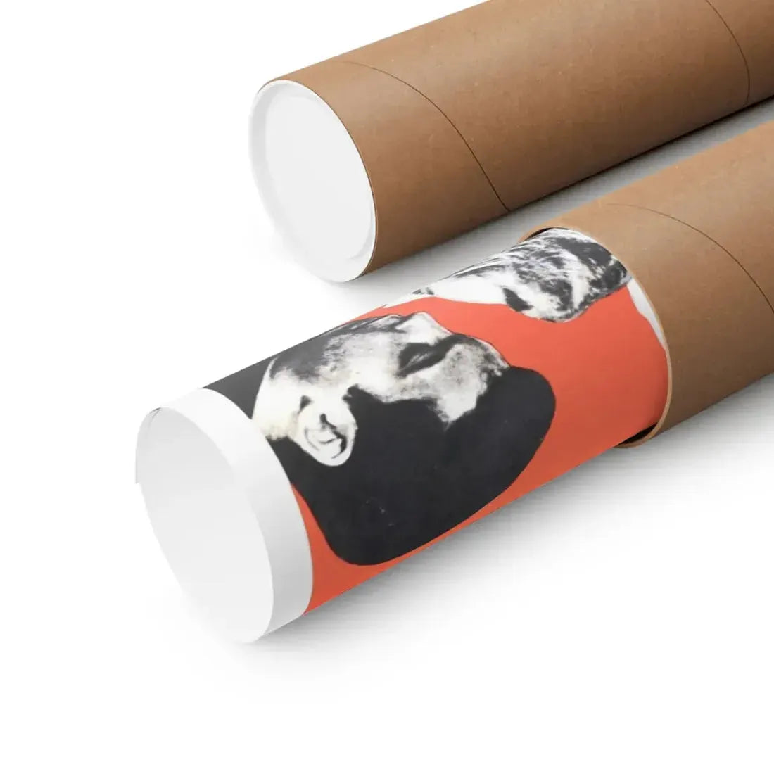 THE RAVAGERS 1979 - Paper Movie Poster - The Sticker Space