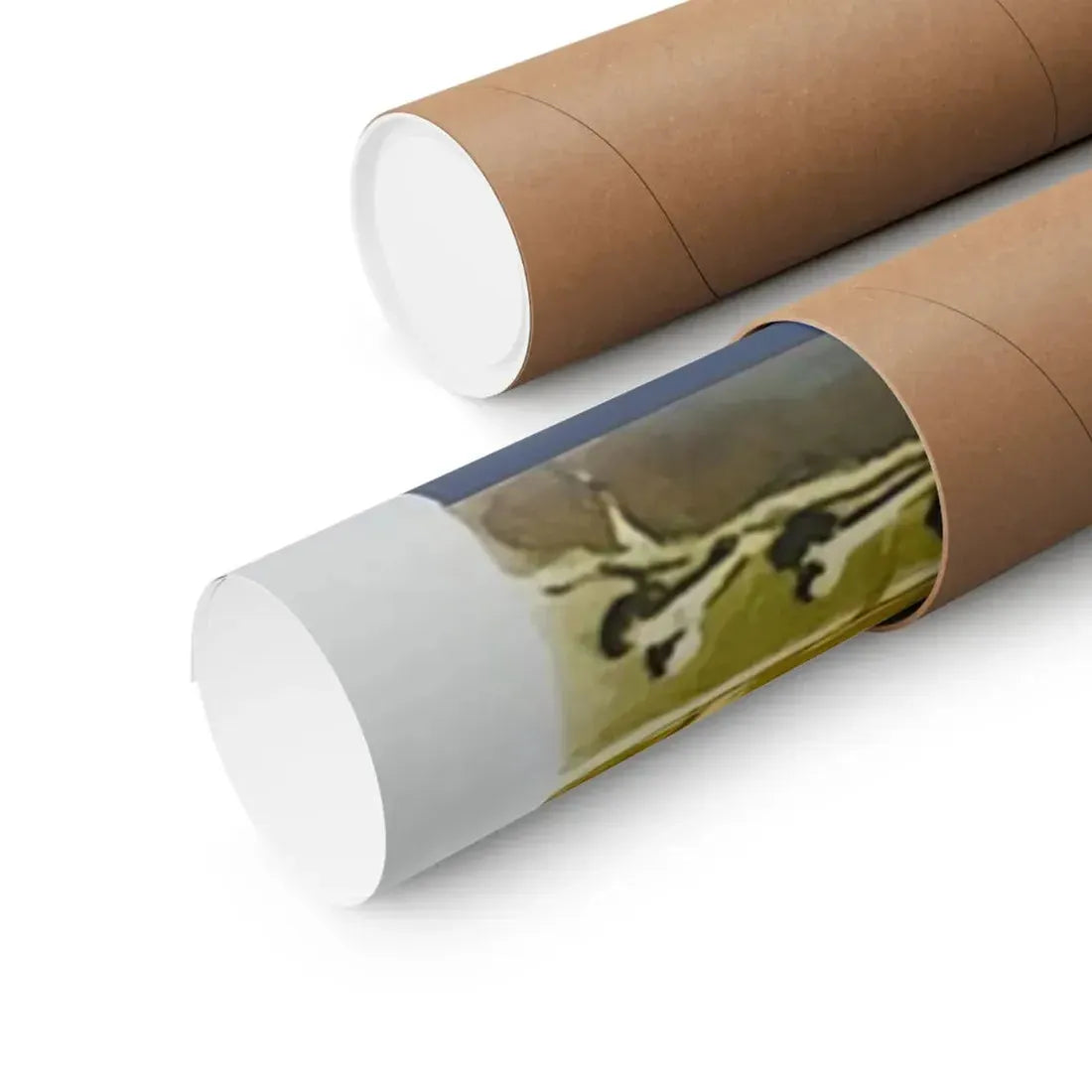 THE RAVEN (BELGIAN) 1963 - Paper Movie Poster - The Sticker Space