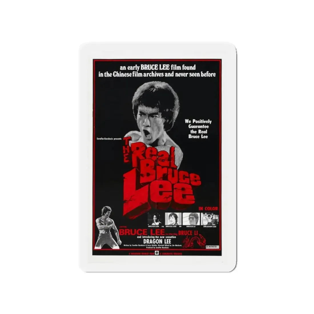 THE REAL BRUCE LEE 1977 Movie Poster - Refrigerator Magnet 3 Inch Die-Cut - The Sticker Space