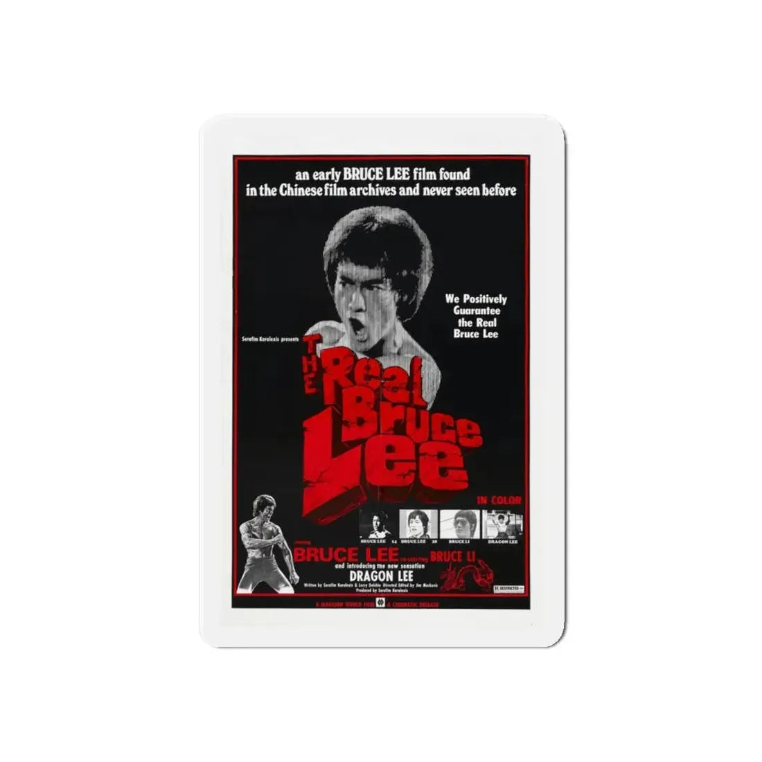 THE REAL BRUCE LEE 1977 Movie Poster - Refrigerator Magnet 6 Inch Die-Cut - The Sticker Space