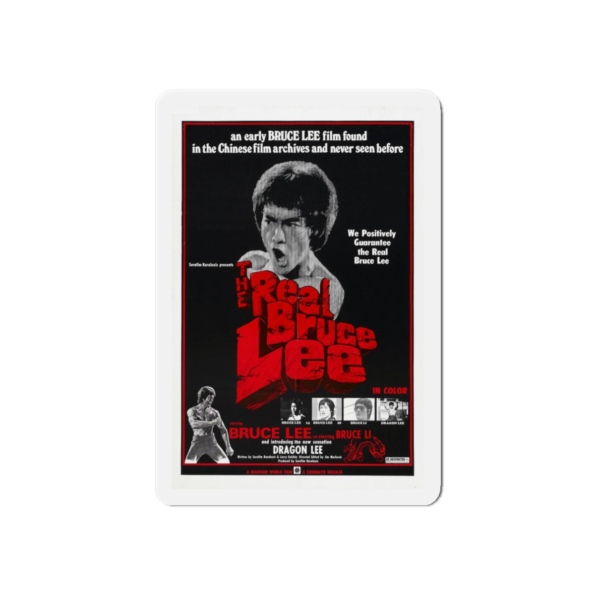 THE REAL BRUCE LEE 1977 Movie Poster - Refrigerator Magnet