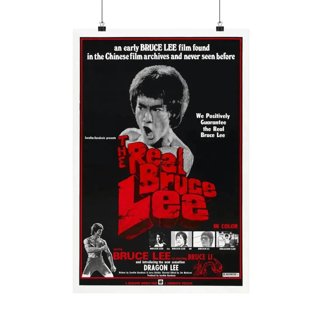 THE REAL BRUCE LEE 1977 - Paper Movie Poster 16″ x 24″ Matte - The Sticker Space