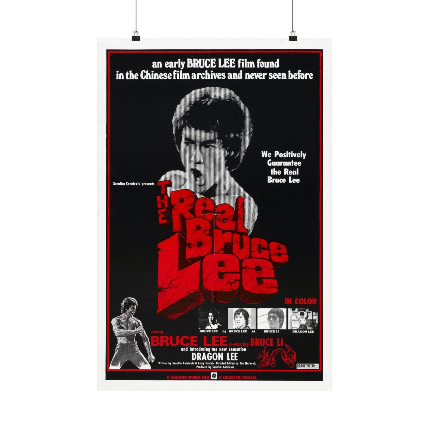 THE REAL BRUCE LEE 1977 - Paper Movie Poster-20″ x 30″-The Sticker Space