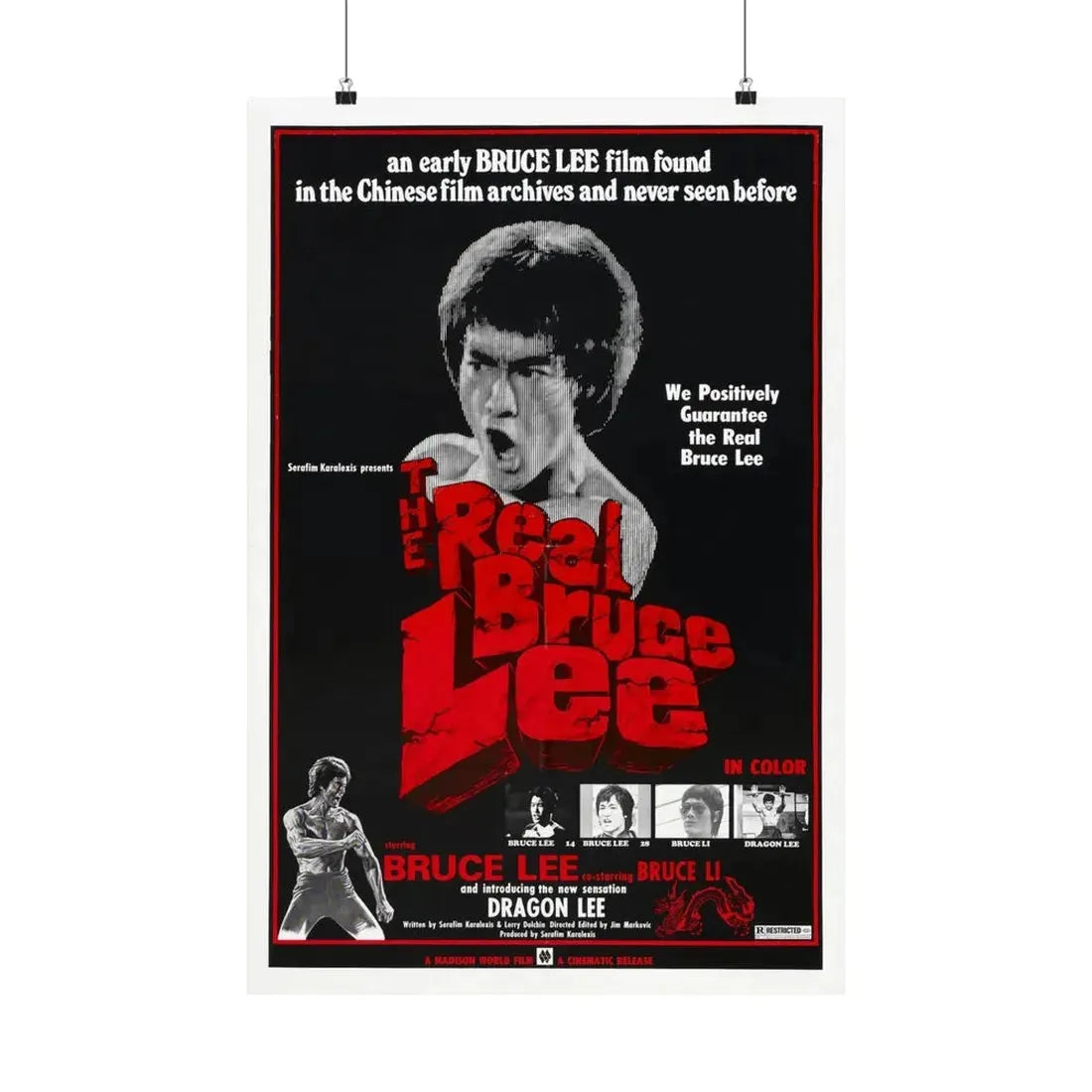 THE REAL BRUCE LEE 1977 - Paper Movie Poster 20″ x 30″ Matte - The Sticker Space