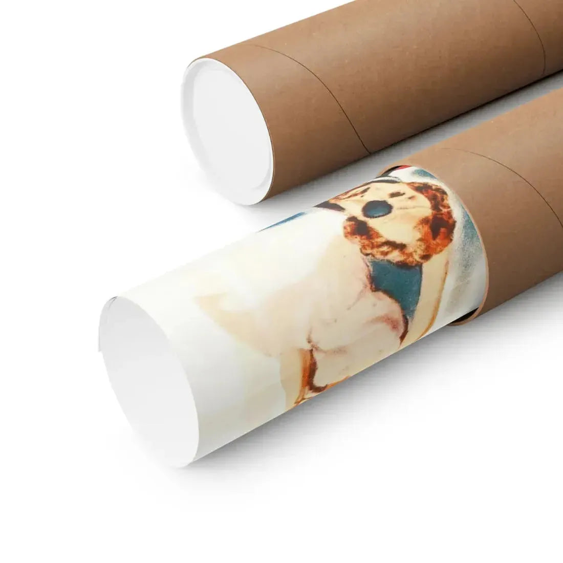 THE REBEL SET 1959 - Paper Movie Poster - The Sticker Space