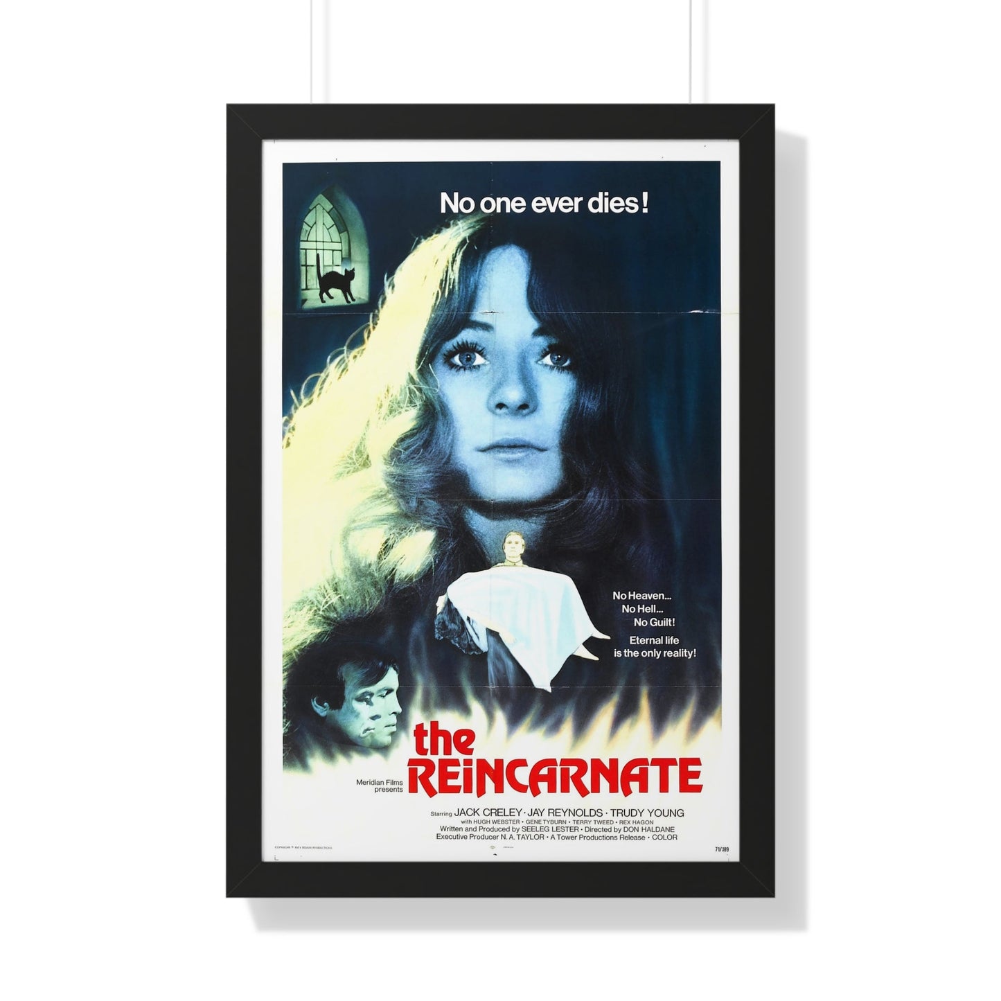 THE REINCARNATE 1971 - Framed Movie Poster-20" x 30"-The Sticker Space