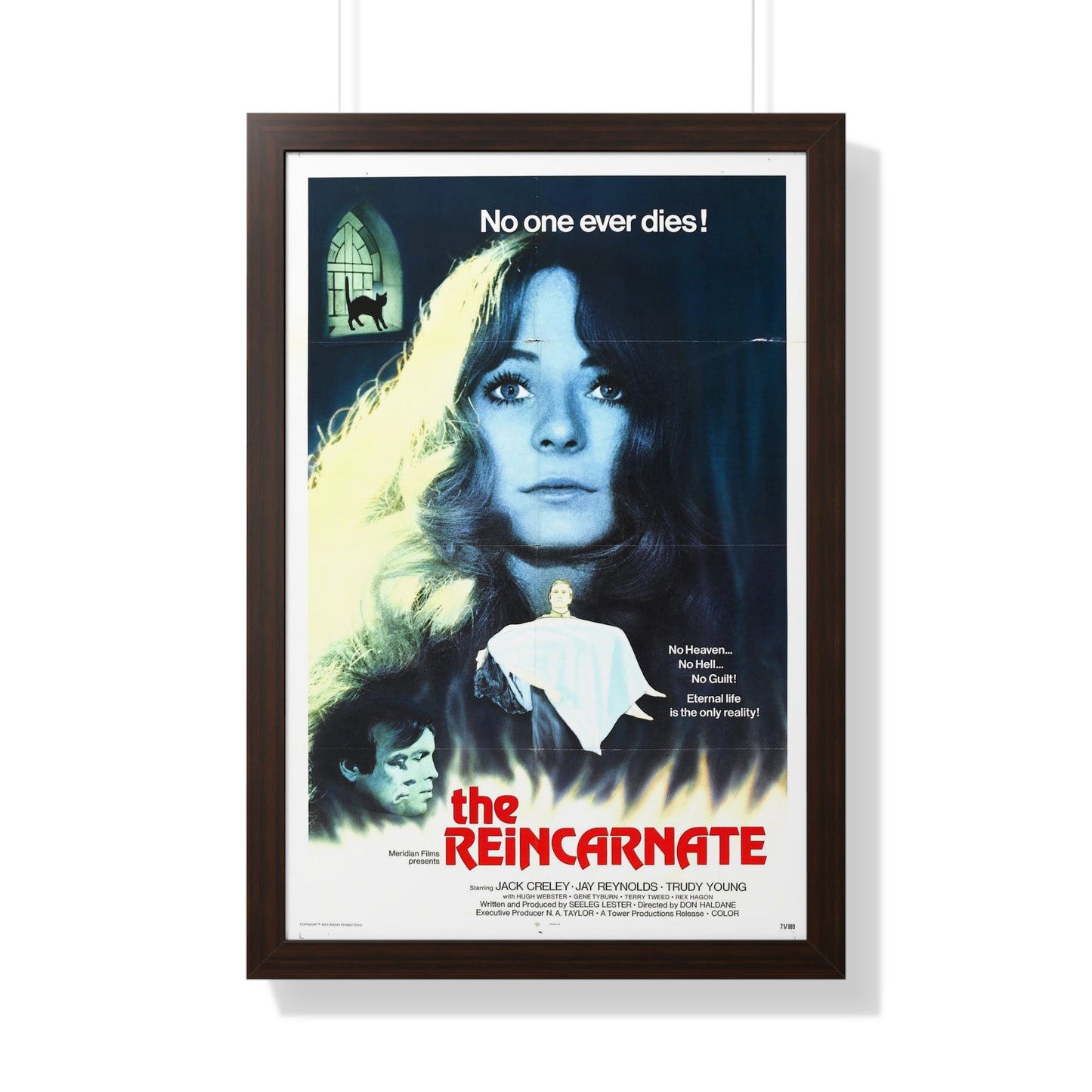 THE REINCARNATE 1971 - Framed Movie Poster-20" x 30"-The Sticker Space