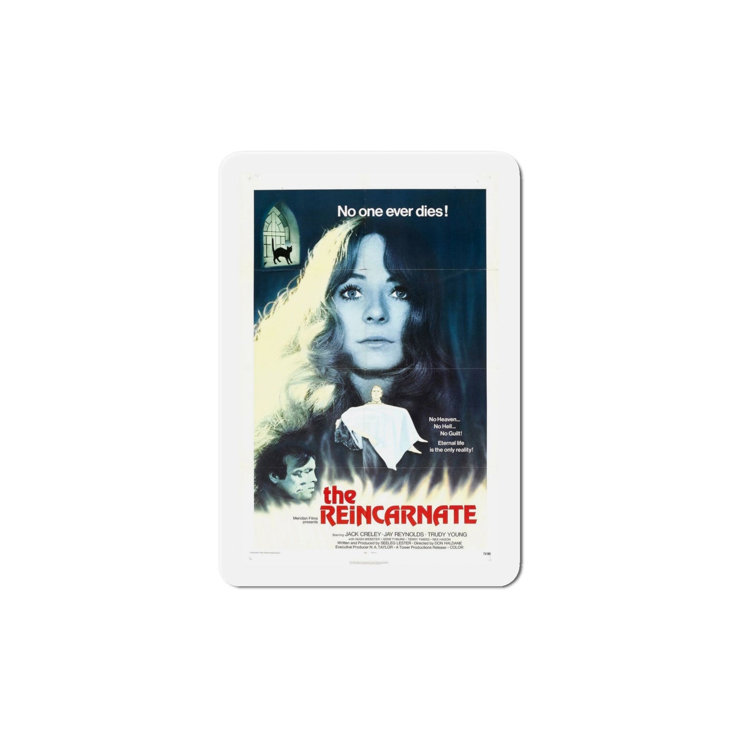 The Reincarnate 1971 Movie Poster Die-Cut Magnet-6 × 6"-The Sticker Space