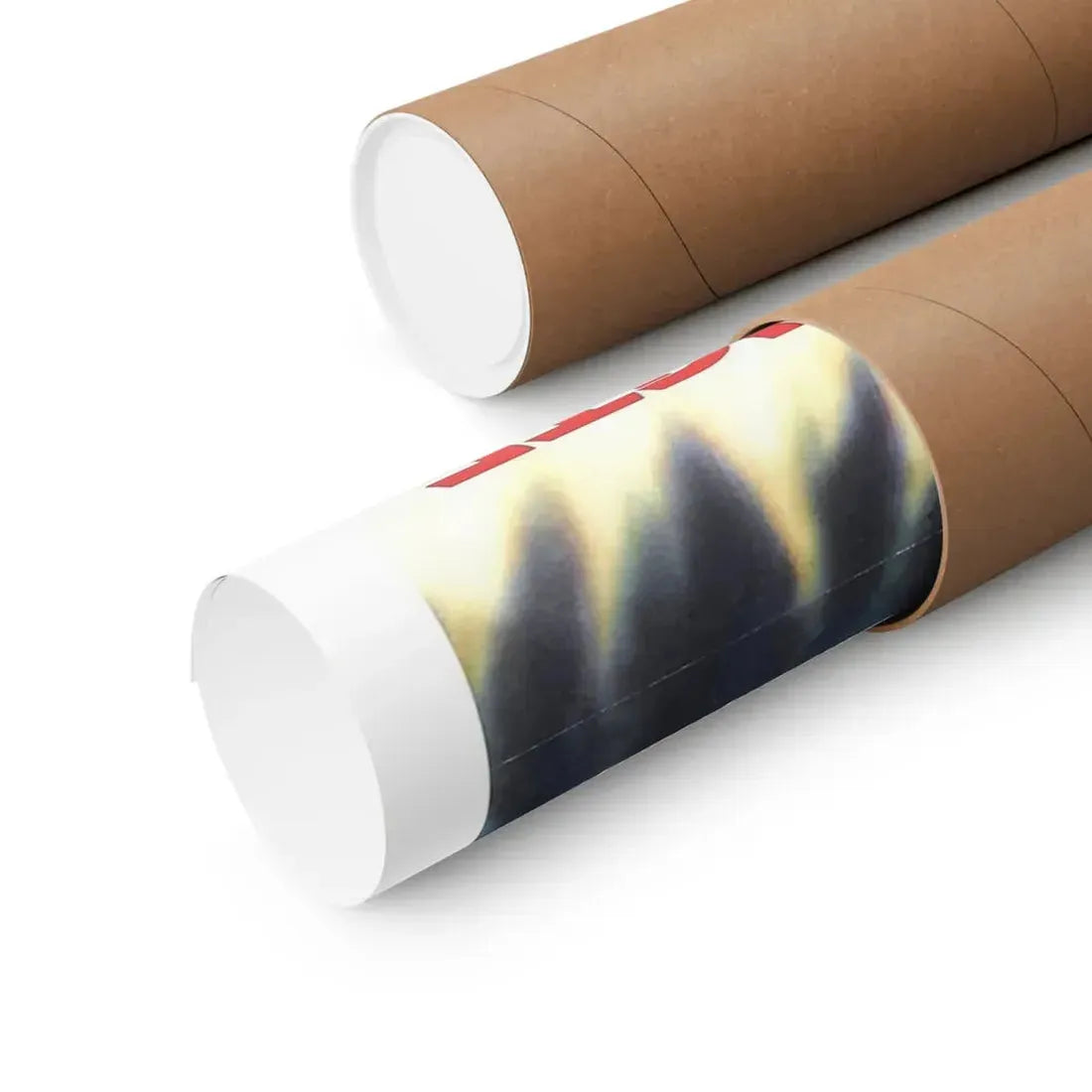 THE REINCARNATE 1971 - Paper Movie Poster - The Sticker Space