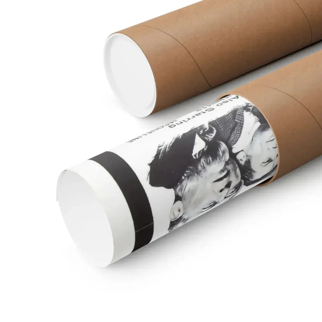 THE REPTILE 1966 - Paper Movie Poster - The Sticker Space