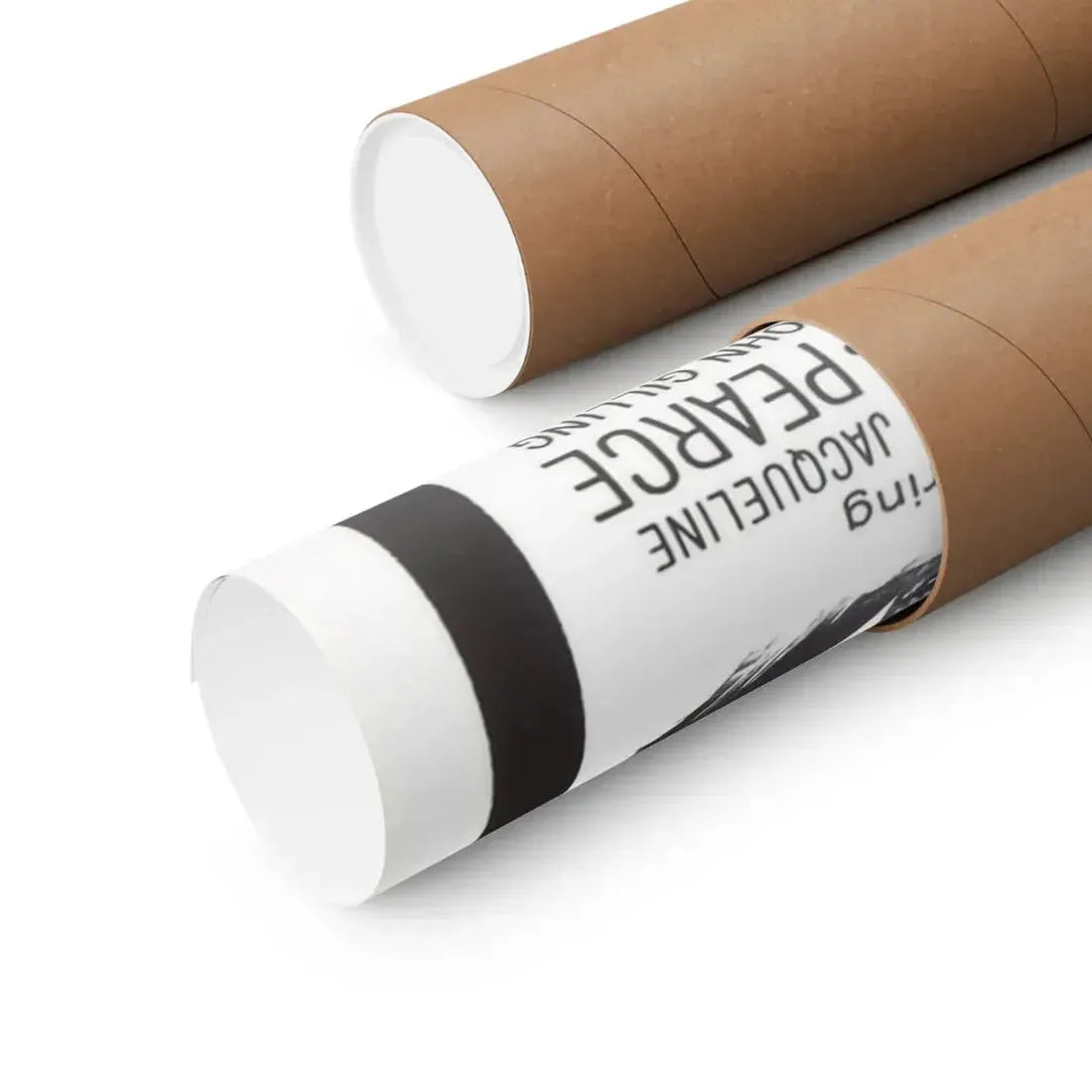 THE REPTILE 1966 - Paper Movie Poster - The Sticker Space