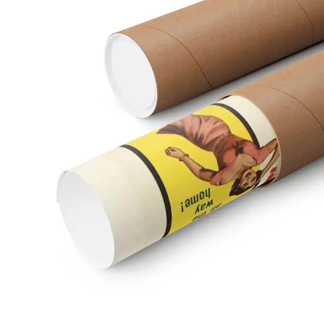 THE REVENGE OF FRANKENSTEIN 1958 - Paper Movie Poster - The Sticker Space